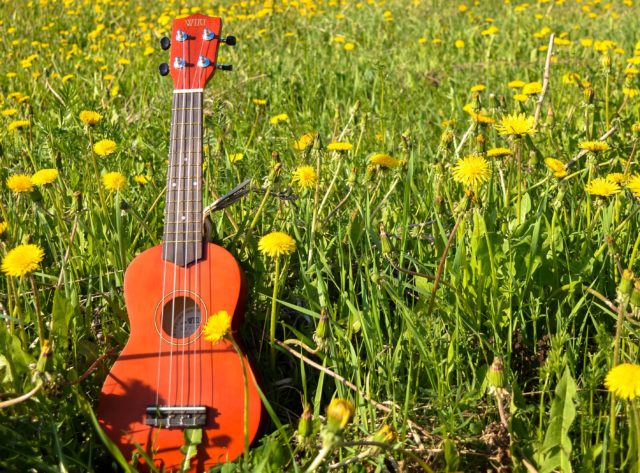 Ukulele auf einer Blumenwiese
