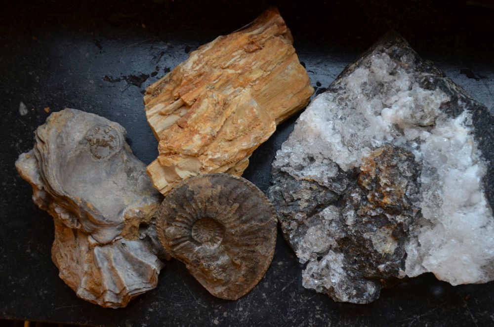 Mineralien- und Fossilien-Ausstellung